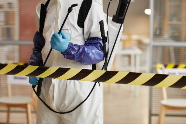 Professional Sewage Cleanup technician working in Montgomery, MN